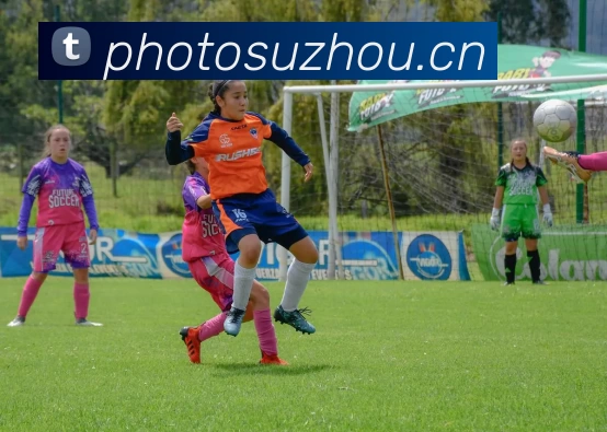 乐鱼官网入口登录品牌故事