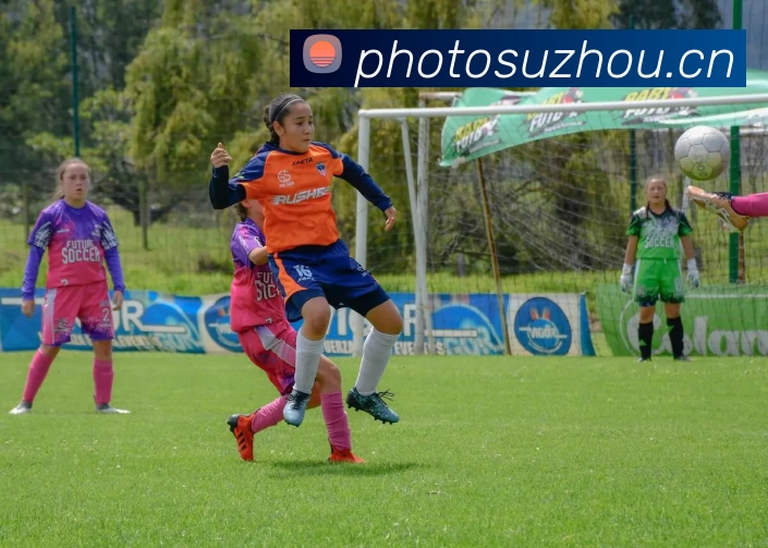 乐鱼官网入口登录服务体系